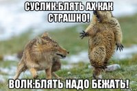 суслик:блять ах как страшно! волк:блять надо бежать!