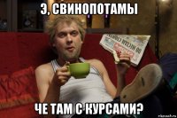 э, свинопотамы че там с курсами?