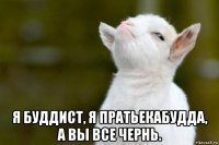  я буддист, я пратьекабудда, а вы все чернь.