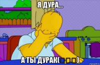 я дура... а ты дурак(ಥ﹏ಥ)