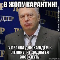 в жопу карантин! у лёлика днюха!идём к лёлику! не дадим ей засохнуть!