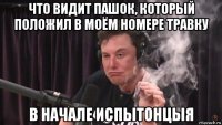 что видит пашок, который положил в моём номере травку в начале испытонцыя