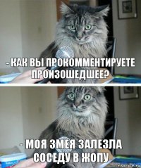 - Как вы прокомментируете произошедшее? - Моя змея залезла соседу в жопу