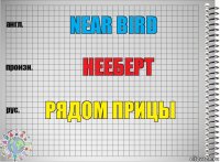 near bird нееберт рядом прицы