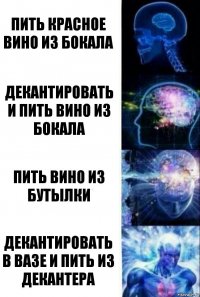 Пить красное вино из бокала Декантировать и пить вино из бокала Пить вино из бутылки Декантировать в вазе и пить из декантера