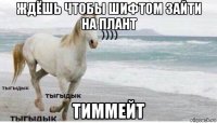 ждёшь чтобы шифтом зайти на плант тиммейт