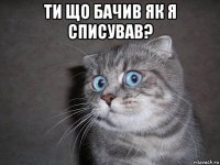 ти що бачив як я списував? 