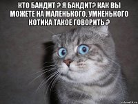 кто бандит ? я бандит? как вы можете на маленького, умненького котика такое говорить ? 