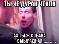 ты чё дурак чтоли ах ты ж собака смырадная