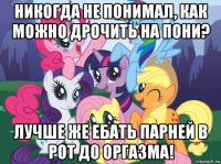 никогда не понимал, как можно дрочить на пони? лучше же ебать парней в рот до оргазма!