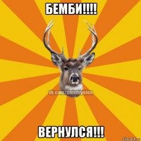 бемби!!!! вернулся!!!