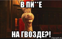 в пи**е на гвозде?!