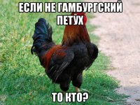 если не гамбургский петух то кто?