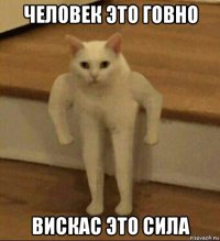 человек это говно вискас это сила