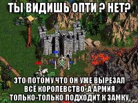 ты видишь опти ? нет? это потому что он уже вырезал всё королевство ,а армия только-только подходит к замку