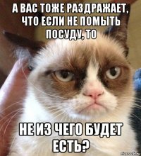 а вас тоже раздражает, что если не помыть посуду, то не из чего будет есть?