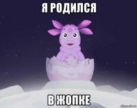 я родился в жопке