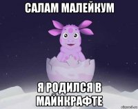 салам малейкум я родился в майнкрафте