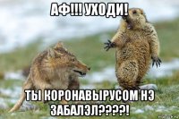 аф!!! уходи! ты коронавырусом нэ забалэл????!