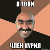 я твой член курил