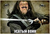  усатый воин