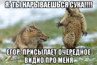 я: ты нарываешься сука!!!! егор: присылает очередное видио про меня