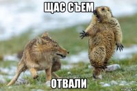 щас съем отвали