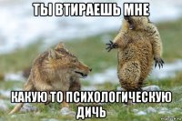 ты втираешь мне какую то психологическую дичь