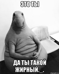 это ты да ты такой жирный._.