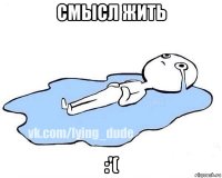 смысл жить :'(