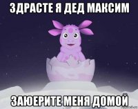 здрасте я дед максим заюерите меня домой