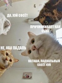 да, хуй сосёт причмокивает как сука не, как падаль наташа, падвальный сасёт хуй