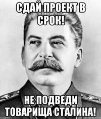 сдай проект в срок! не подведи товарища сталина!
