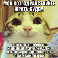 мой кот: здравствуйте жрать будем я: конешно будем. мой кот: нееееееееееееет сначало задание .я:какое задание? дать мне деняг чтобы я купил тебе еду.