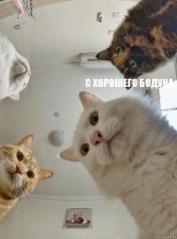  с хорошего бодуна  