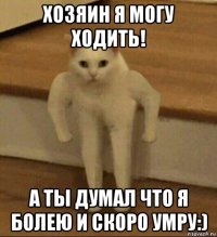 хозяин я могу ходить! а ты думал что я болею и скоро умру:)