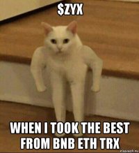 $zyx when i took the best from bnb eth trx