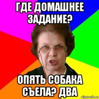 где домашнее задание? опять собака съела? два