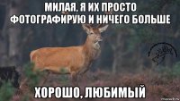 милая, я их просто фотографирую и ничего больше хорошо, любимый