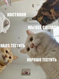 Костяяяя Мы все сделали Надо тестить Хорошо тестить