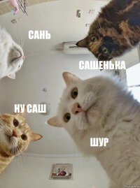 Сань Сашенька Ну Саш Шур