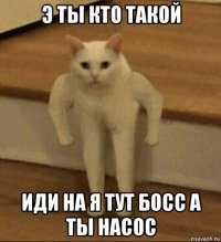 э ты кто такой иди на я тут босс а ты насос