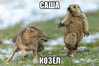 саша козел