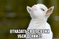  отказаться от своих убеждений?!