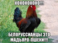 кококококо!!! белоруссианцы это мадьяро-пшеки!!!