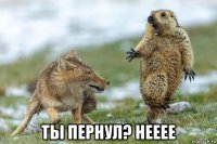  ты пернул? нееее