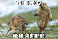 ты в курсе? мы в зоопарке!