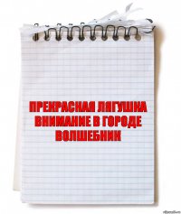 Прекрасная лягушка внимание в городе волшебник