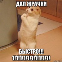 дал жрачки быстро!!! 1!1!1!1!1!1!1!1!1!1!