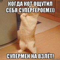 когда кот ощутил себя супергероем))) супермен на взлёт!